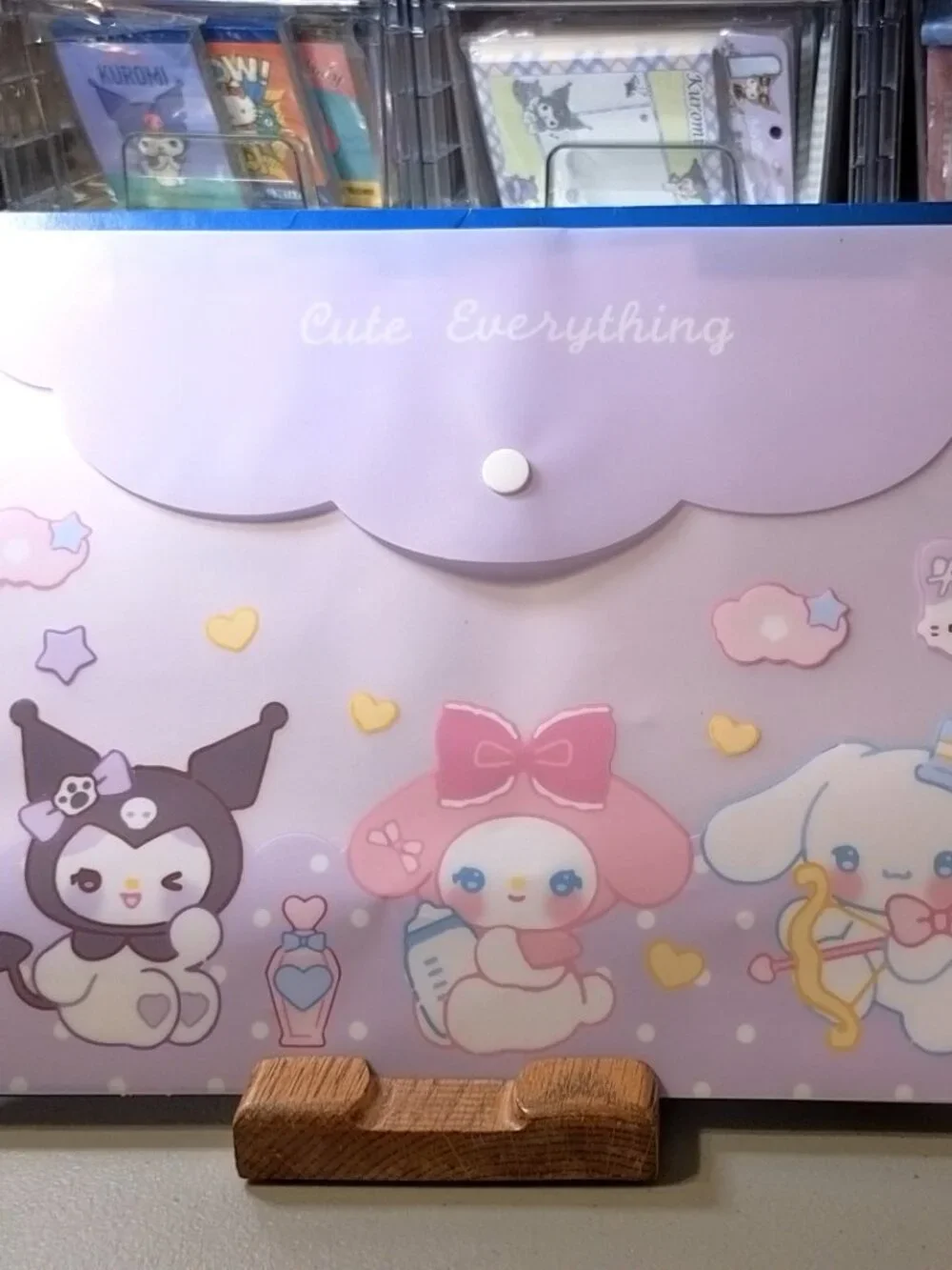 2757 Thickened Plastic Document Folder with Snap Closure Hello Kitty Charters